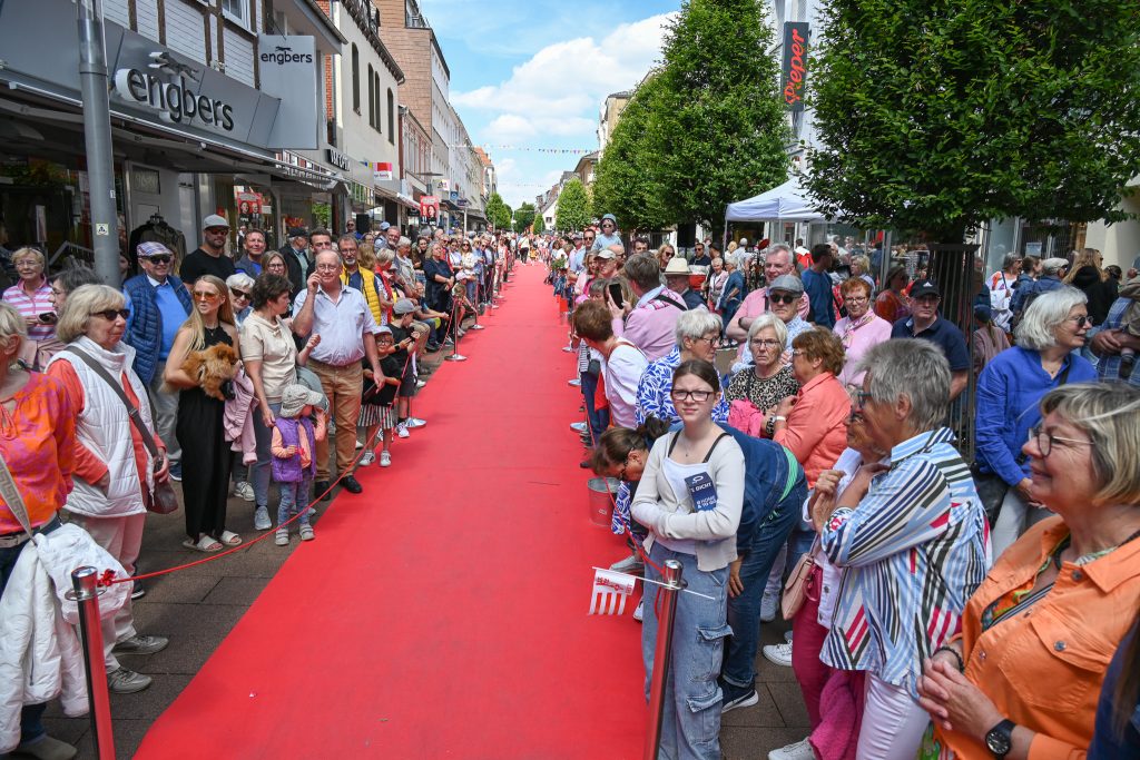 City.Walk 2024 – Foto 44